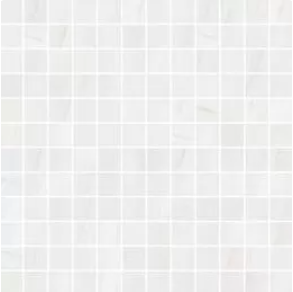White 1x1 mosaic Polished - porcelain tile